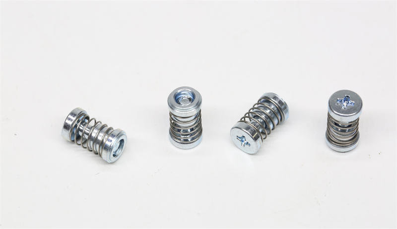 Spring screw